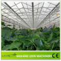 Leon series agriculture greenhouse equipment